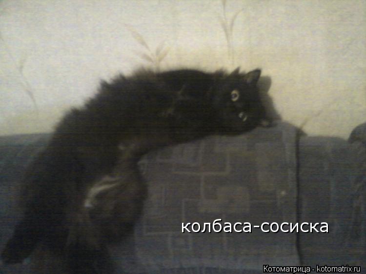 колбаса-сосиска... Котоматрица: колбаса-сосиска