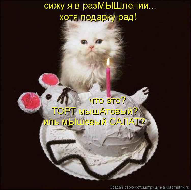сижу я в разМЫШлении... хотя подарку рад! что это? иль мЫшевый САЛАТ? ТОРТ мышАтовый?... Котоматрица: сижу я в разМЫШлении... хотя подарку рад! что это? иль мЫшевый САЛАТ? ТОРТ мышАтовый?