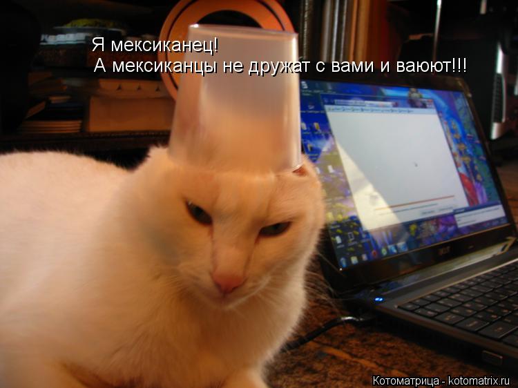 Котоматрица: Я мексиканец! А мексиканцы не дружат с вами и ваюют!!!