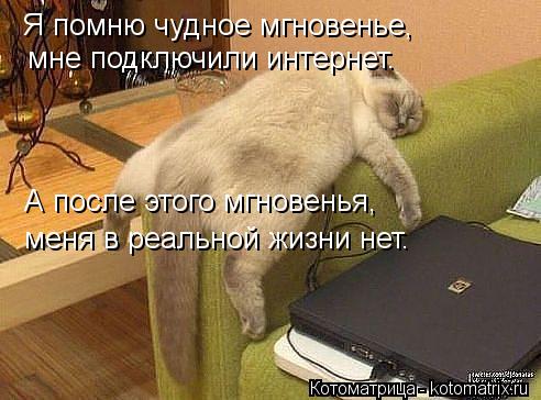Я помню чудное мгновенье, мне подключили интернет. А после этого мгновенья, меня в реальной жизни нет... Котоматрица: Я помню чудное мгновенье, мне подключили интернет. А после этого мгновенья, меня в реальной жизни нет.