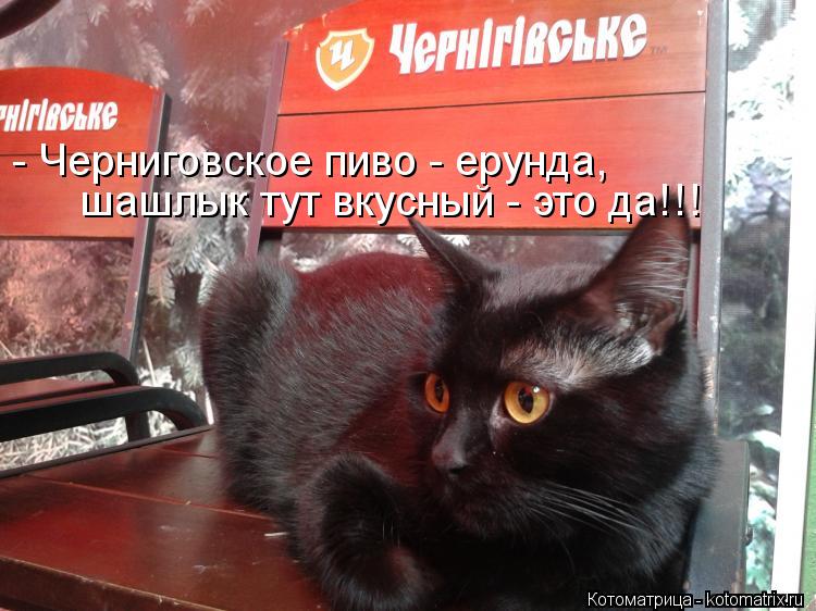 - Черниговское пиво - ерунда, шашлык тут вкусный - это да!!!... Котоматрица: - Черниговское пиво - ерунда, шашлык тут вкусный - это да!!!