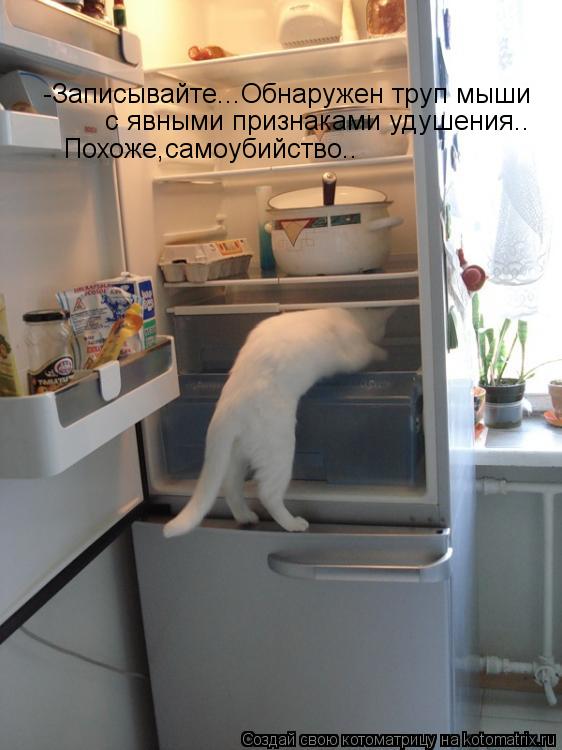 Котоматрица: -Записывайте...Обнаружен труп мыши с явными признаками удушения.. Похоже,самоубийство..