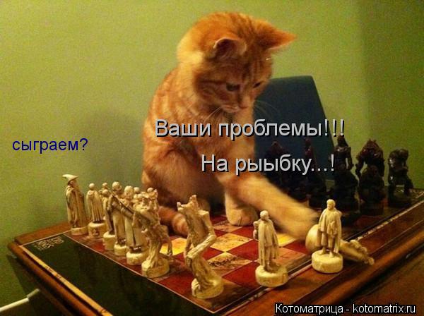 сыграем? Ваши проблемы!!! На рыыбку...!... Котоматрица: сыграем? Ваши проблемы!!! На рыыбку...!