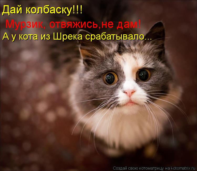Дай колбаску!!! Мурзик, отвяжись,не дам! А у кота из Шрека срабатывало...... Котоматрица: Дай колбаску!!! Мурзик, отвяжись,не дам! А у кота из Шрека срабатывало...