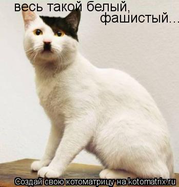 весь такой белый, фашистый....... Котоматрица: весь такой белый, фашистый....