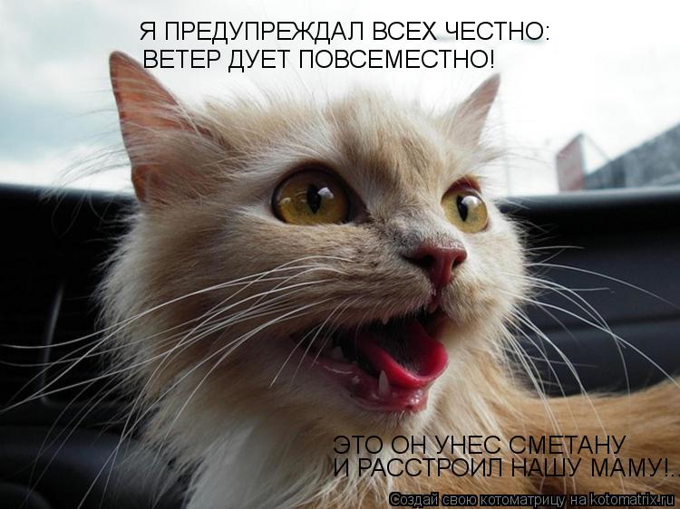 Я ПРЕДУПРЕЖДАЛ ВСЕХ ЧЕСТНО: ВЕТЕР ДУЕТ ПОВСЕМЕСТНО! И РАССТРОИЛ НАШУ МАМУ!.. ЭТО ОН УНЕС СМЕТАНУ... Котоматрица: Я ПРЕДУПРЕЖДАЛ ВСЕХ ЧЕСТНО: ВЕТЕР ДУЕТ ПОВСЕМЕСТНО! И РАССТРОИЛ НАШУ МАМУ!.. ЭТО ОН УНЕС СМЕТАНУ