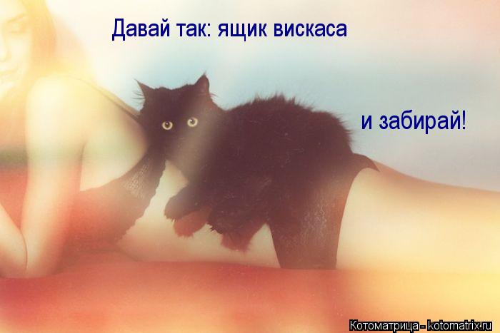 Давай так: ящик вискаса и забирай!... Котоматрица: Давай так: ящик вискаса и забирай!