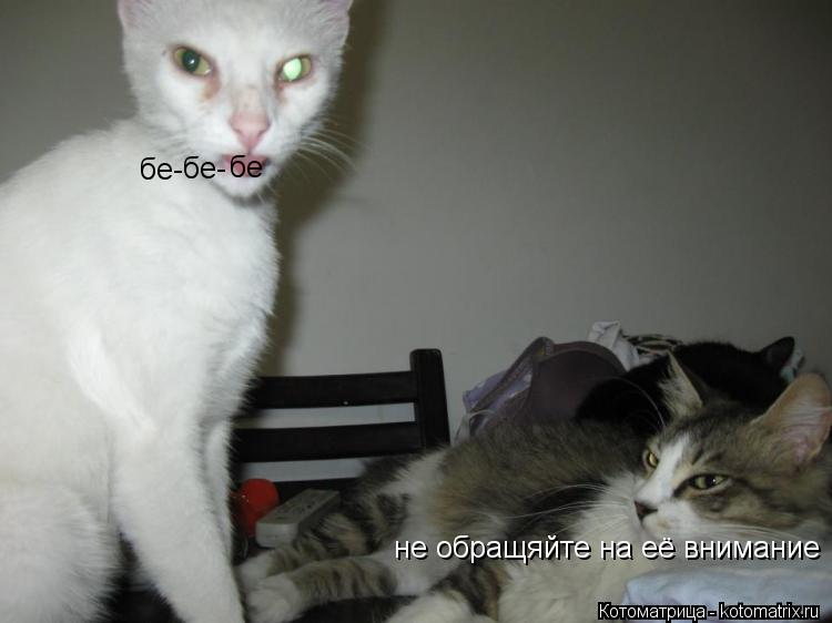бе бе- бе- не обращяйте на её внимание... Котоматрица: бе бе- бе- не обращяйте на её внимание