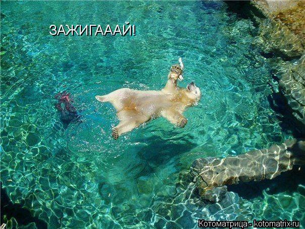 Котоматрица: ЗАЖИГАААЙ!