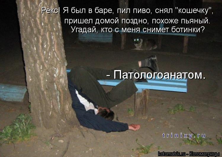 Рекс! Я был в баре, пил пиво, снял "кошечку", пришел домой поздно, похоже пьяный. Угадай, кто с меня ... Котоматрица: Рекс! Я был в баре, пил пиво, снял "кошечку", пришел домой поздно, похоже пьяный. Угадай, кто с меня снимет ботинки? - Патологоанатом.