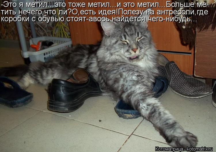 -Это я метил...это тоже метил...и это метил...Больше ме- тить нечего,что ли?О,есть идея!Полезу на ант... Котоматрица: -Это я метил...это тоже метил...и это метил...Больше ме- тить нечего,что ли?О,есть идея!Полезу на антресоли,где коробки с обувью стоят-авось найд