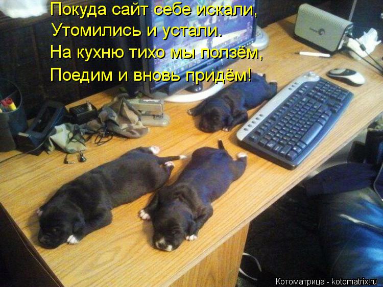 Покуда сайт себе искали, Утомились и устали. На кухню тихо мы ползём, Поедим и вновь придём!... Котоматрица: Покуда сайт себе искали, Утомились и устали. На кухню тихо мы ползём, Поедим и вновь придём!