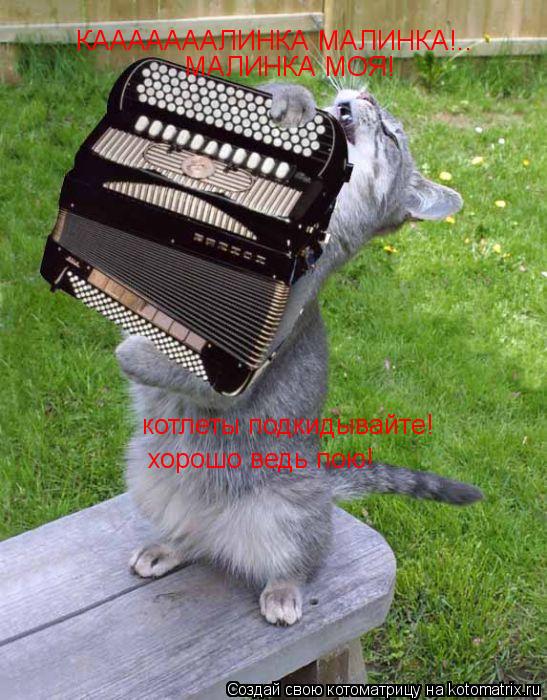 КАААААААЛИНКА МАЛИНКА!.. МАЛИНКА МОЯ! котлеты подкидывайте! хорошо ведь пою!... Котоматрица: КАААААААЛИНКА МАЛИНКА!.. МАЛИНКА МОЯ! котлеты подкидывайте! хорошо ведь пою!