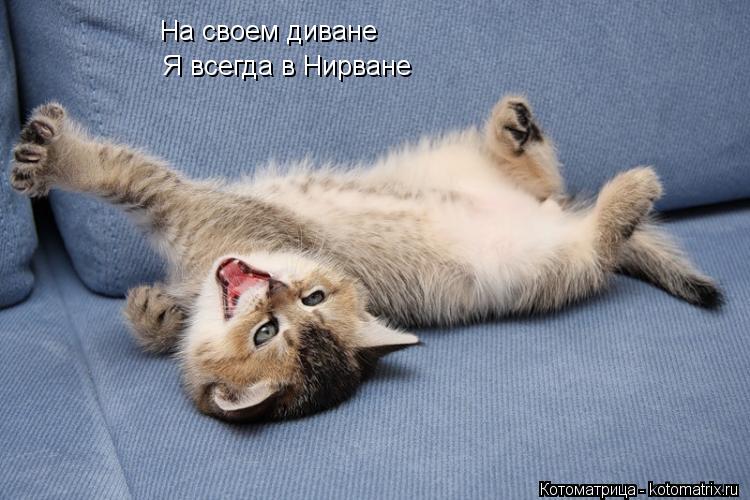 На своем диване Я всегда в Нирване... Котоматрица: На своем диване Я всегда в Нирване