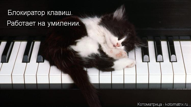 Работает на умилении. Блокиратор клавиш.... Котоматрица: Работает на умилении. Блокиратор клавиш.