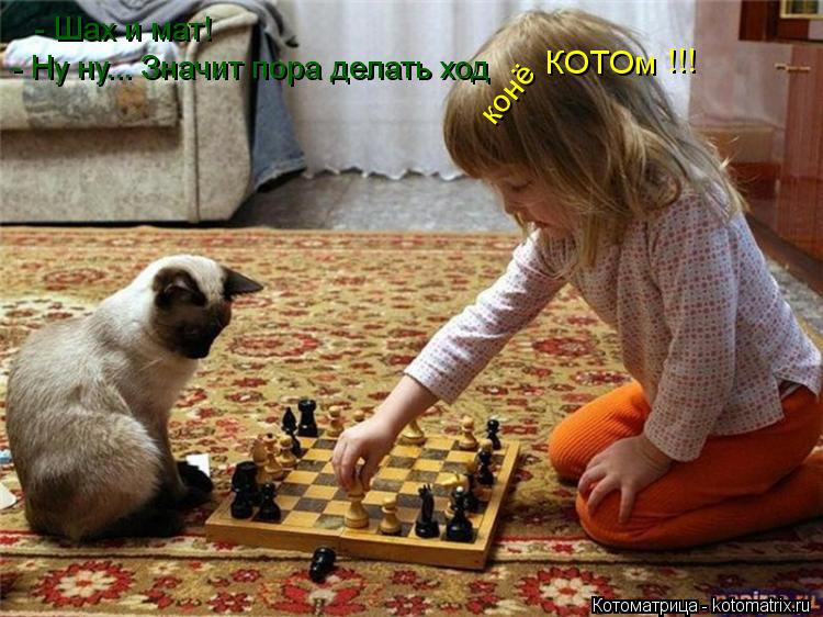 - Шах и мат! - Ну ну... Значит пора делать ход конё КОТОм !!!... Котоматрица: - Шах и мат! - Ну ну... Значит пора делать ход конё КОТОм !!!