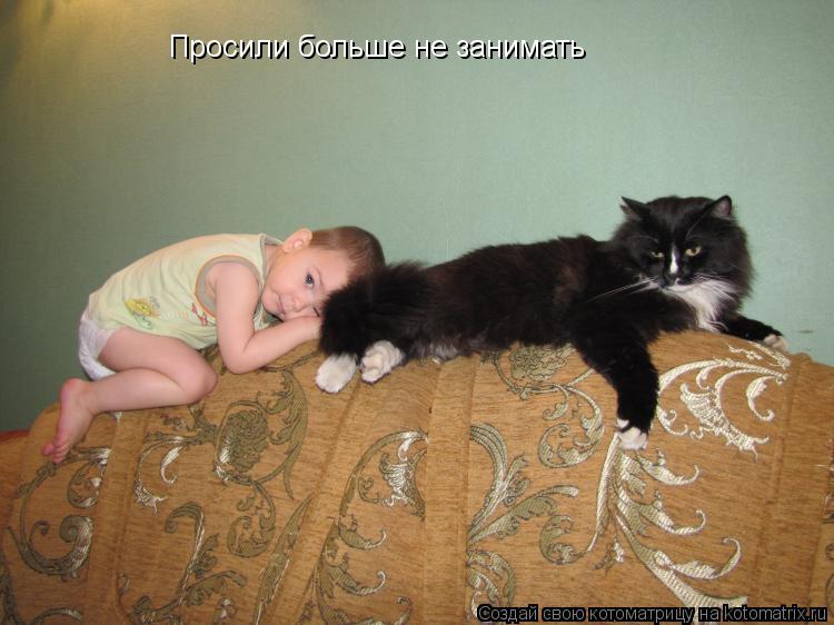 Просили больше не занимать... Котоматрица: Просили больше не занимать