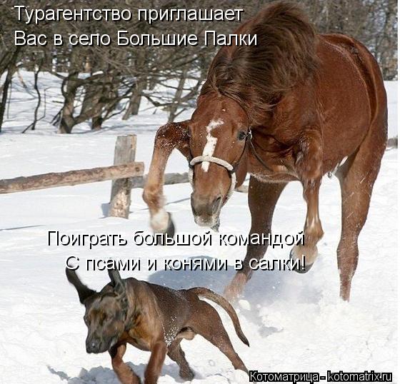 Котоматрица: Турагентство приглашает   Вас в село Большие Палки   Поиграть большой командой    С псами и конями в салки!