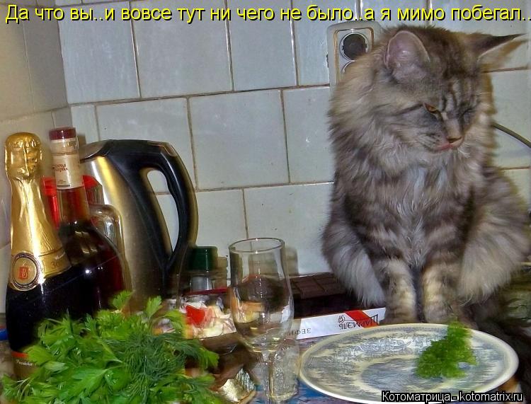 Да что вы..и вовсе тут ни чего не было..а я мимо побегал...... Котоматрица: Да что вы..и вовсе тут ни чего не было..а я мимо побегал...