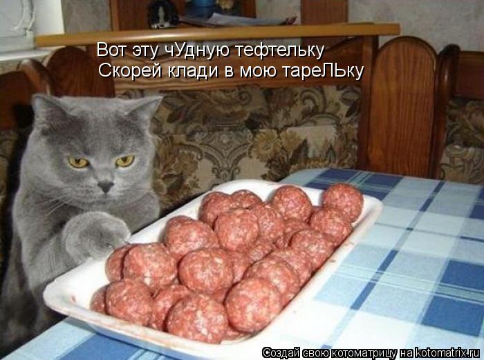 Вот эту чУдную тефтельку Скорей клади в мою тареЛЬку... Котоматрица: Вот эту чУдную тефтельку Скорей клади в мою тареЛЬку