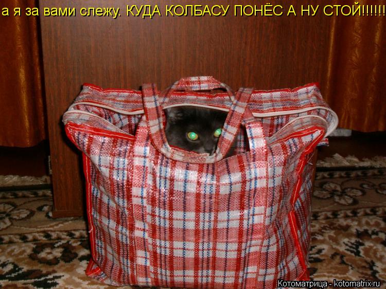 а я за вами слежу. КУДА КОЛБАСУ ПОНЁС А НУ СТОЙ!!!!!!!!!!... Котоматрица: а я за вами слежу. КУДА КОЛБАСУ ПОНЁС А НУ СТОЙ!!!!!!!!!!