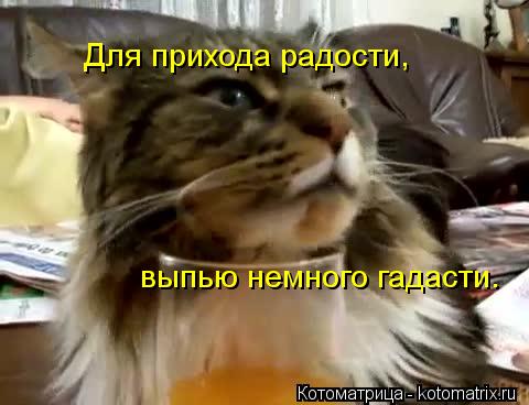 Котоматрица: Для прихода радости, выпью немного гадасти.