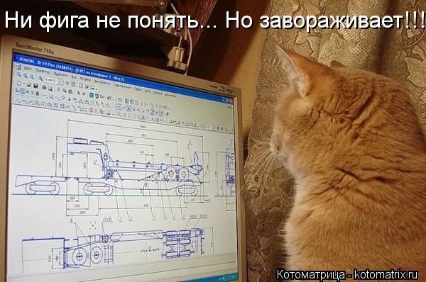 Ни фига не понять... Но завораживает!!!... Котоматрица: Ни фига не понять... Но завораживает!!!
