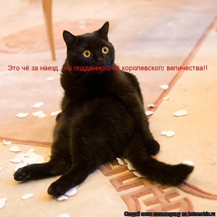 Это чё за наезд...на подданного её королевского величества!!... Котоматрица: Это чё за наезд...на подданного её королевского величества!!