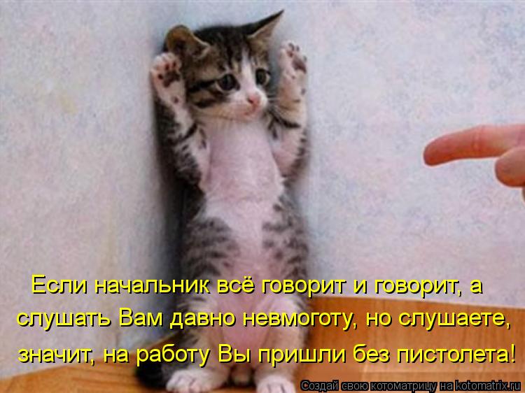 Котоматрица: слушать Вам давно невмоготу, но слушаете,  Если начальник всё говорит и говорит, а значит, на работу Вы пришли без пистолета!
