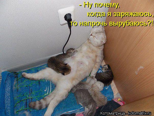 Котоматрица: - Ну почему, то напрочь вырубаюсь?! когда я заряжаюсь,