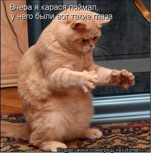Котоматрица: Вчера я карася поймал, у него были вот такие глаза