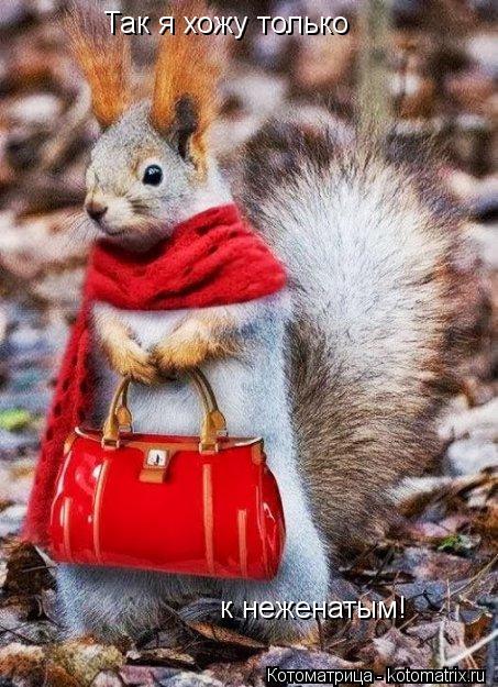 Так я хожу только к неженатым!... Котоматрица: Так я хожу только к неженатым!
