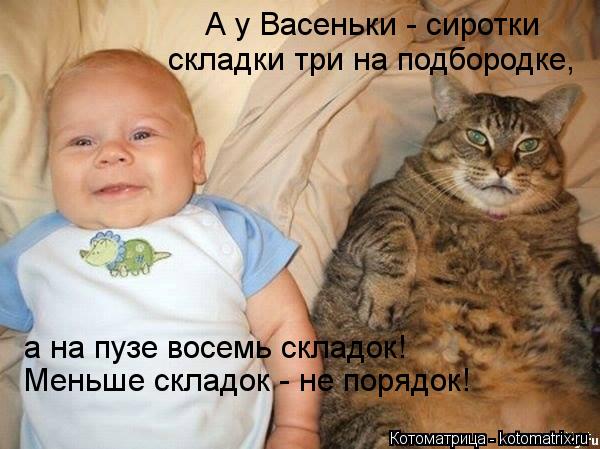 А у Васеньки - сиротки складки три на подбородке, а на пузе восемь складок! Меньше складок - не поряд... Котоматрица: А у Васеньки - сиротки складки три на подбородке, а на пузе восемь складок! Меньше складок - не порядок!