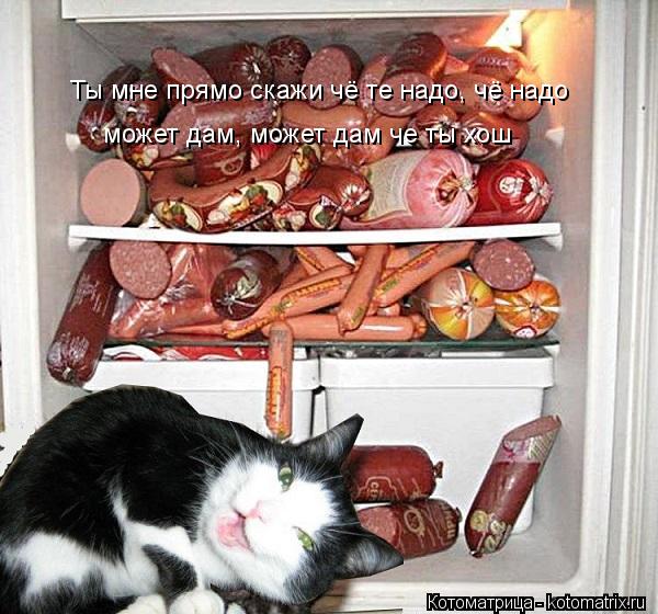 Ты мне прямо скажи чё те надо, чё надо может дам, может дам че ты хош... Котоматрица: Ты мне прямо скажи чё те надо, чё надо может дам, может дам че ты хош