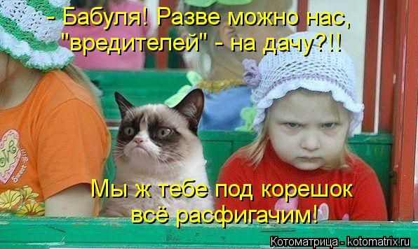- Бабуля! Разве можно нас, "вредителей" - на дачу?!! Мы ж тебе под корешок всё расфигачим!... Котоматрица: - Бабуля! Разве можно нас, "вредителей" - на дачу?!! Мы ж тебе под корешок всё расфигачим!