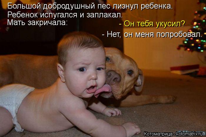 Большой добродушный пес лизнул ребенка. Ребенок испугался и заплакал. Мать закричала: - Он тебя укуси... Котоматрица: Большой добродушный пес лизнул ребенка. Ребенок испугался и заплакал. Мать закричала: - Он тебя укусил? - Нет, он меня попробовал.