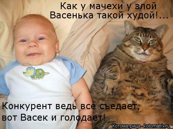 Как у мачехи у злой Васенька такой худой!... Конкурент ведь все съедает, вот Васек и голодает!... Котоматрица: Как у мачехи у злой Васенька такой худой!... Конкурент ведь все съедает, вот Васек и голодает!