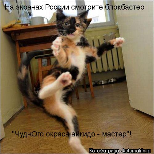 На экранах России смотрите блокбастер "ЧуднОго окраса айкидо - мастер"!... Котоматрица: На экранах России смотрите блокбастер "ЧуднОго окраса айкидо - мастер"!
