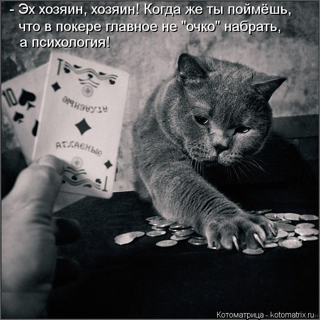 - Эх хозяин, хозяин! Когда же ты поймёшь, что в покере главное не "очко" набрать, а психология!... Котоматрица: - Эх хозяин, хозяин! Когда же ты поймёшь, что в покере главное не "очко" набрать, а психология!