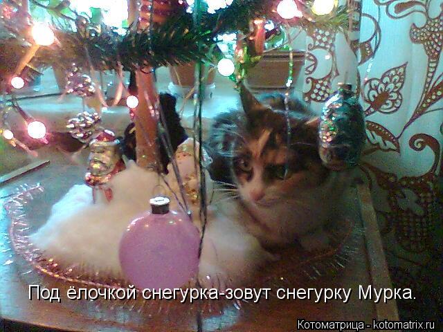 Под ёлочкой снегурка-зовут снегурку Мурка.... Котоматрица: Под ёлочкой снегурка-зовут снегурку Мурка.