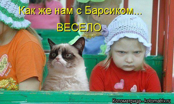 Как же нам с Барсиком... ВЕСЕЛО... Котоматрица: Как же нам с Барсиком... ВЕСЕЛО