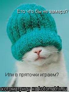 Ето что бы не замерз? Или в пряточки играем?... Котоматрица: Ето что бы не замерз? Или в пряточки играем?