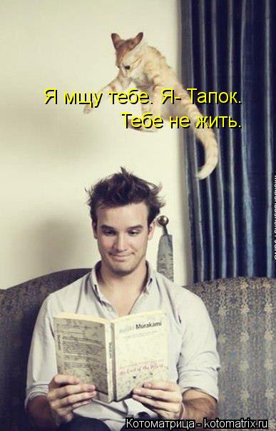 Я мщу тебе. Я- Тапок. Тебе не жить.... Котоматрица: Я мщу тебе. Я- Тапок. Тебе не жить.
