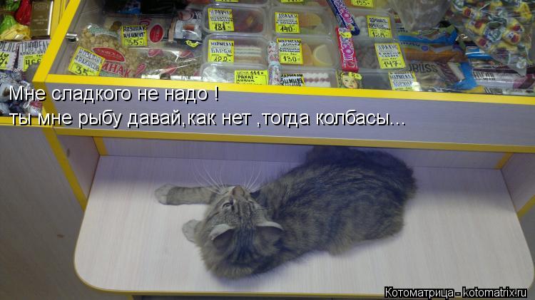 ты мне рыбу давай,как нет ,тогда колбасы... Мне сладкого не надо !... Котоматрица: ты мне рыбу давай,как нет ,тогда колбасы... Мне сладкого не надо !