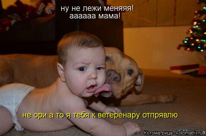 ну не лежи меняяя! аааааа мама! не ори а то я тебя к ветеренару отпрявлю... Котоматрица: ну не лежи меняяя! аааааа мама! не ори а то я тебя к ветеренару отпрявлю
