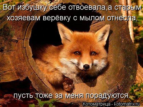 Вот избушку себе отвоевала,а старым хозяевам верёвку с мылом отнесла, пусть тоже за меня порадуются.... Котоматрица: Вот избушку себе отвоевала,а старым хозяевам верёвку с мылом отнесла, пусть тоже за меня порадуются.