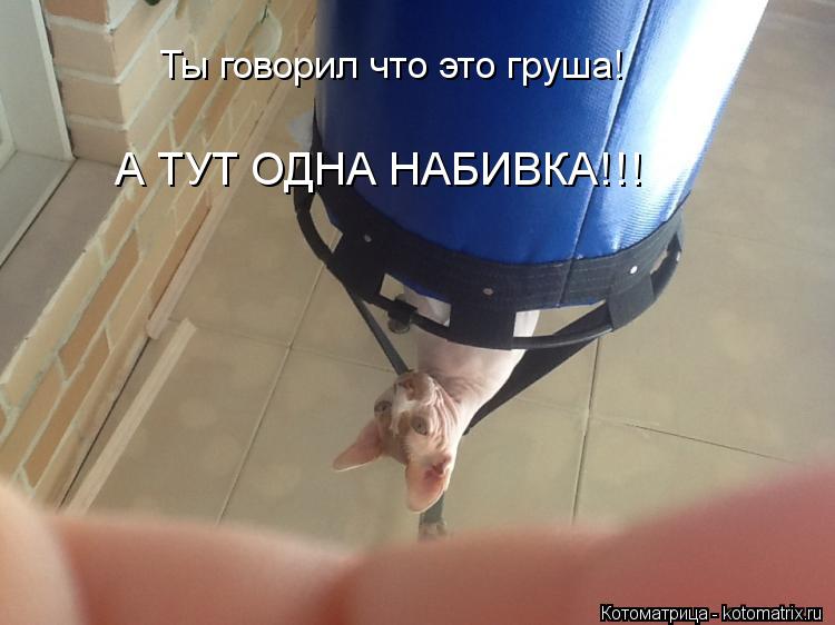 Ты говорил что это груша! А ТУТ ОДНА НАБИВКА!!!... Котоматрица: Ты говорил что это груша! А ТУТ ОДНА НАБИВКА!!!
