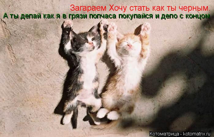 Загараем Хочу стать как ты черным. А ты делай как я в грязи полчаса покупайся и дело с концом... Котоматрица: Загараем Хочу стать как ты черным. А ты делай как я в грязи полчаса покупайся и дело с концом