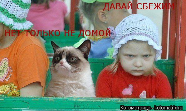 НЕТ ТОЛЬКО НЕ ДОМОЙ НЕТ ТОЛЬКО НЕ ДОМОЙ ДАВАЙ СБЕЖИМ... Котоматрица: НЕТ ТОЛЬКО НЕ ДОМОЙ НЕТ ТОЛЬКО НЕ ДОМОЙ ДАВАЙ СБЕЖИМ