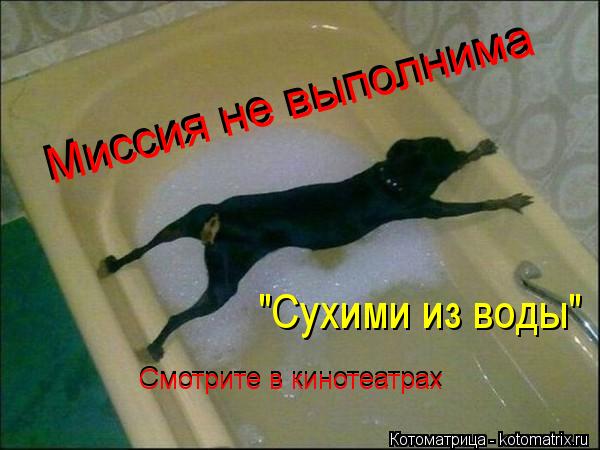 Миссия не выполнима Миссия не выполнима "Сухими из воды" Смотрите в кинотеатрах Смотрите в кинотеатр... Котоматрица: Миссия не выполнима Миссия не выполнима "Сухими из воды" Смотрите в кинотеатрах Смотрите в кинотеатрах